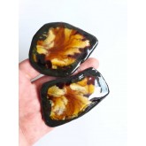 Statement Ring Contemporary
